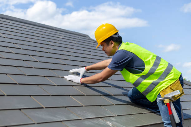 Best Roof Gutter Cleaning  in Newport East, RI