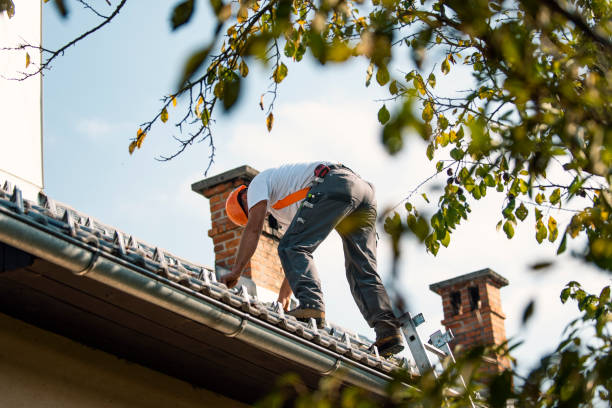 Best Residential Roofing Contractor  in Newport East, RI