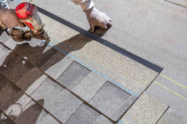 Best Roof Gutter Cleaning  in Newport East, RI